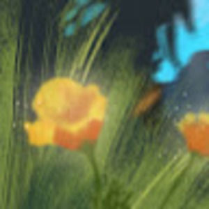 Meet your Posher, Kat